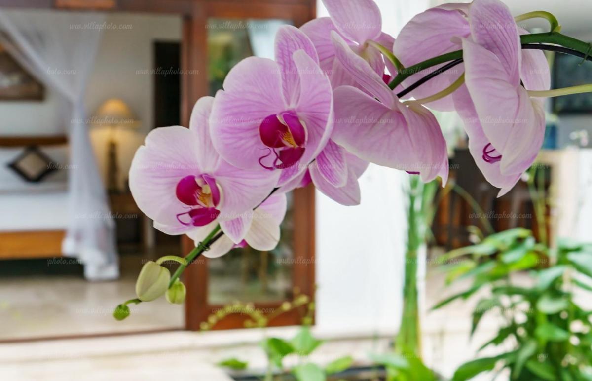 Villa Gita Candidasa Dış mekan fotoğraf